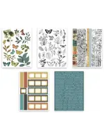 Amber Ledgers Sticker Book by Katie Pertiet (ACSSB0003)