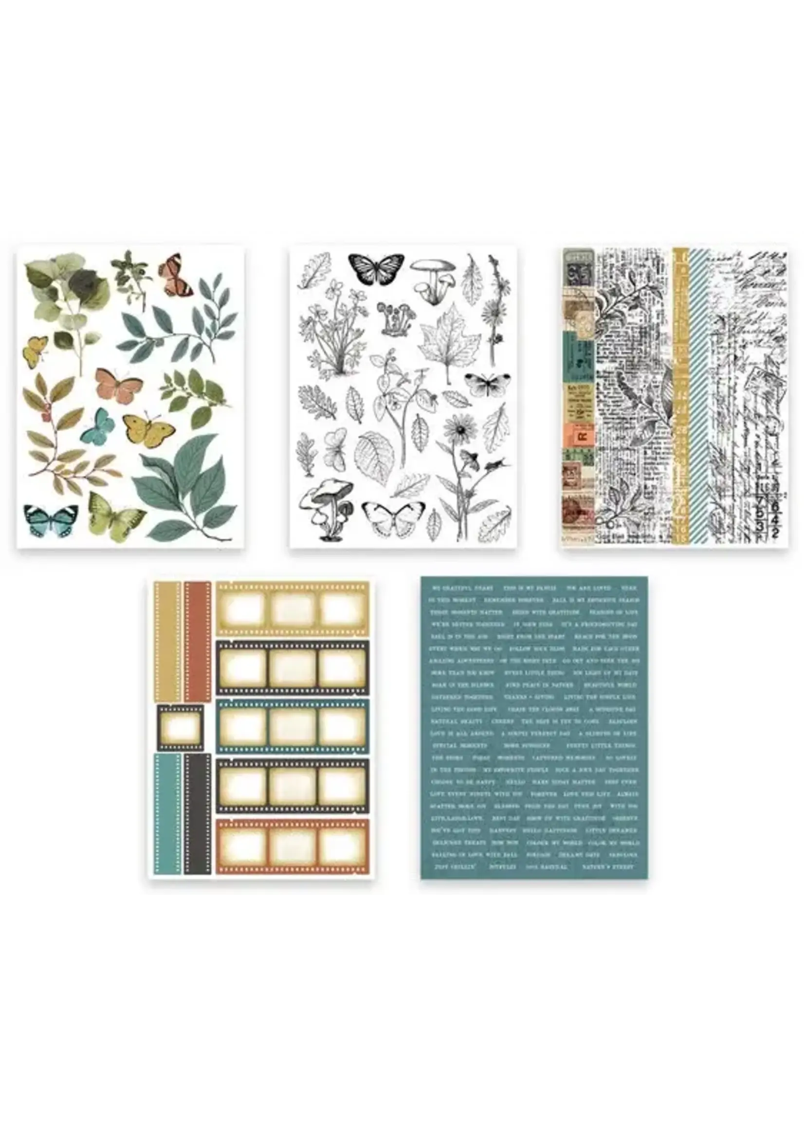 Amber Ledgers Sticker Book by Katie Pertiet (ACSSB0003)