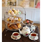 Hightea workshop 12 februari 2027