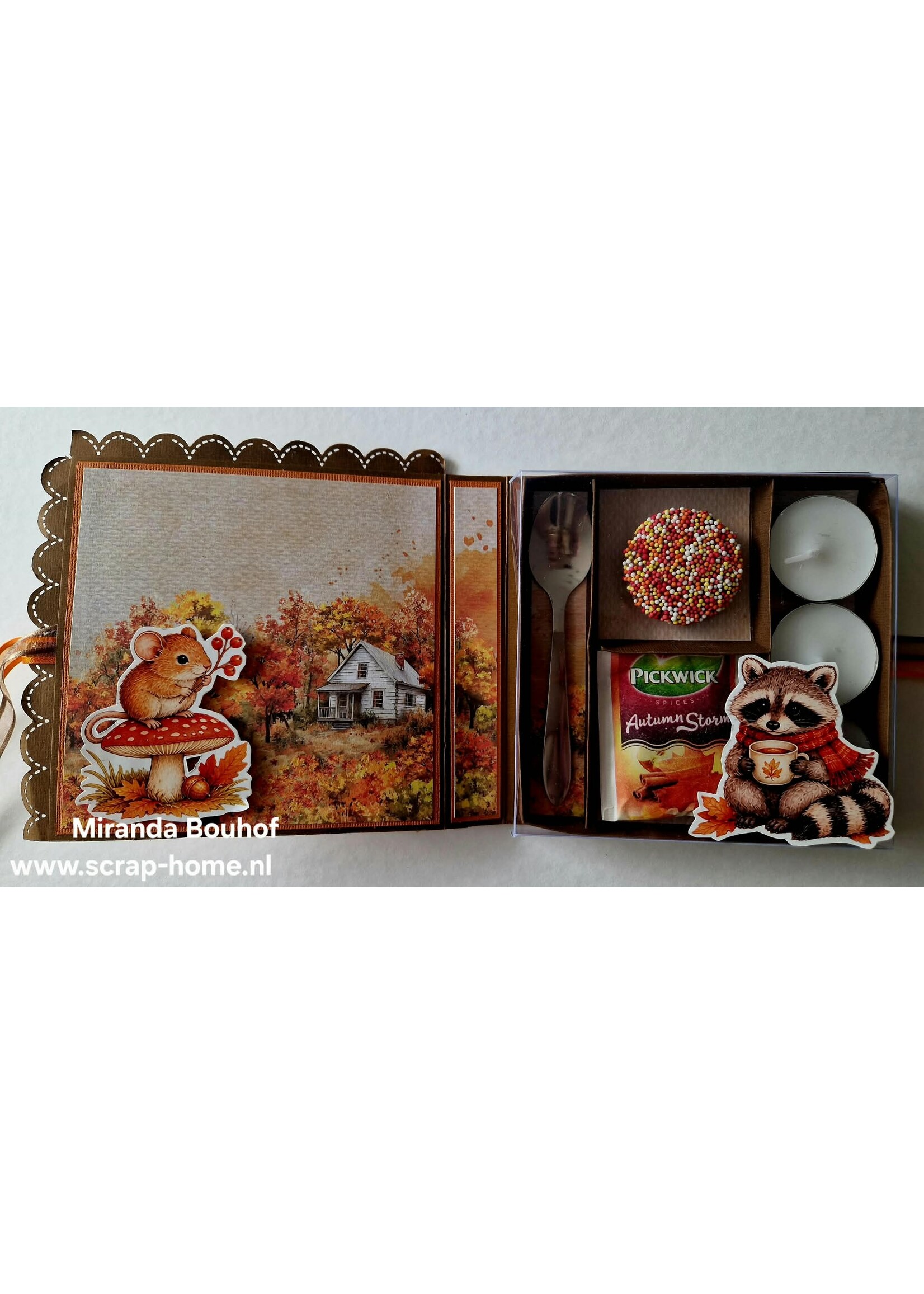 workshoppakket Herfst Thee Vakjes Kaart en  Tony schudbox