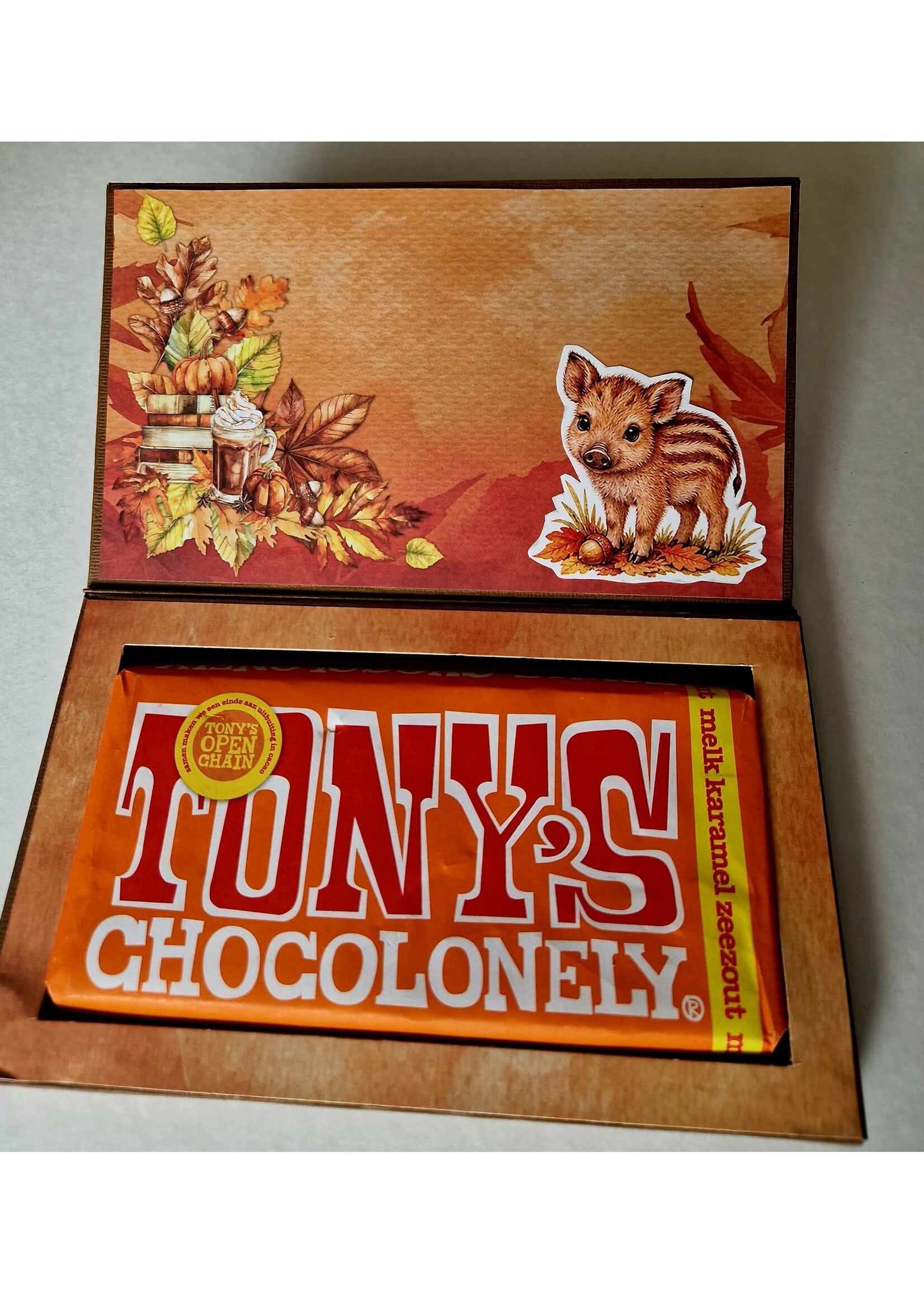 workshoppakket Herfst Thee Vakjes Kaart en  Tony schudbox