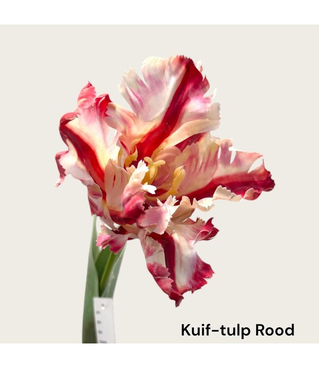 QMF Trading Kuif-tulp | Zijden kunstbloem | Lengte 73cm  1pcs