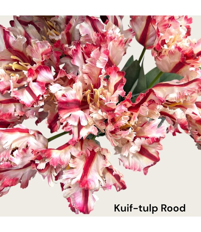 QMF Trading Kuif-tulp | Zijden kunstbloem | Lengte 73cm  1pcs