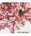 QMF Trading Kuif-tulp | Zijden kunstbloem | Lengte 73cm  1pcs