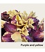 QMF Trading 2-stengelige iris | Zijden kunstbloem | Lengte 80cm  1pcs