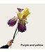 QMF Trading 2-stengelige iris | Zijden kunstbloem | Lengte 80cm  1pcs