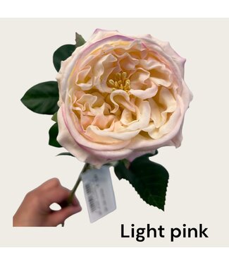 QMF Trading Constantin Pink Rose | Zijden kunstbloem | Lengte 73cm  1pcs