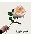 QMF Trading Constantin Pink Rose | Zijden kunstbloem | Lengte 73cm  1pcs