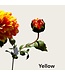 QMF Trading 2 head-Dahlia Orange Yellow | Zijden kunstbloem | Lengte 73cm  1pcs