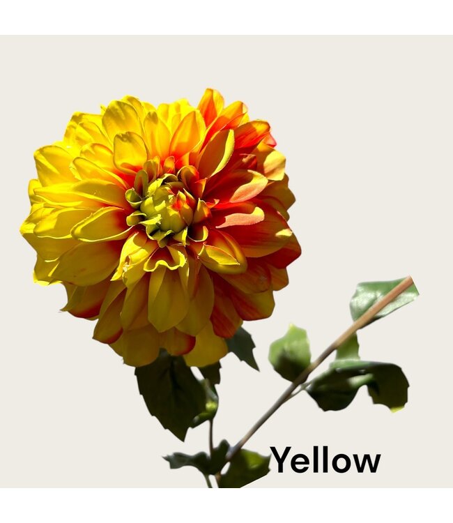 QMF Trading 2 head-Dahlia Orange Yellow | Zijden kunstbloem | Lengte 73cm  1pcs