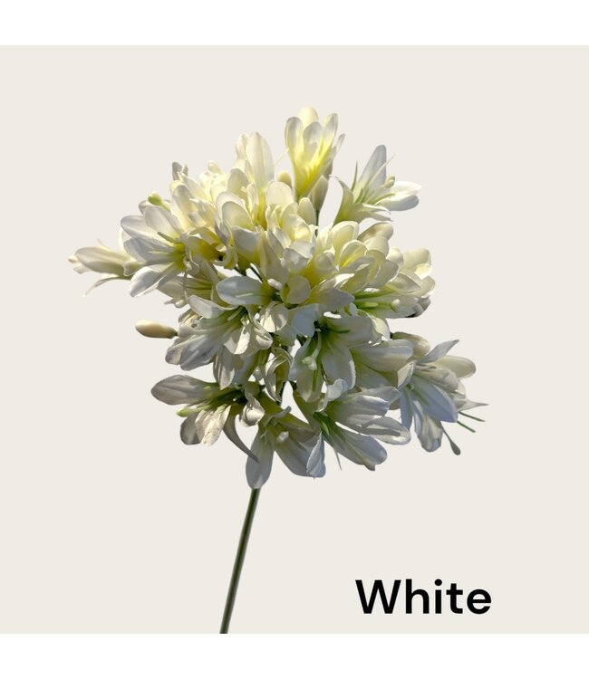 QMF Trading Afrikaanse lelie | Zijden kunstbloem | Lengte 75cm  1pcs