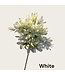 QMF Trading Afrikaanse lelie | Zijden kunstbloem | Lengte 75cm  1pcs