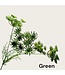 QMF Trading 5-stengelige kantbloem | Zijden kunstbloem | Lengte 82cm  1pcs