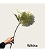QMF Trading Kortstengelige frisse hortensia | Zijden kunstbloem | Lengte 47cm  1pcs