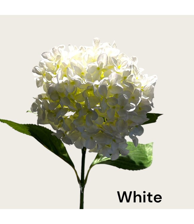 QMF Trading Kortstengelige frisse hortensia | Zijden kunstbloem | Lengte 47cm  1pcs