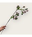 QMF Trading Passiflora edulis | Zijden kunstbloem | Lengte 75cm  1pcs
