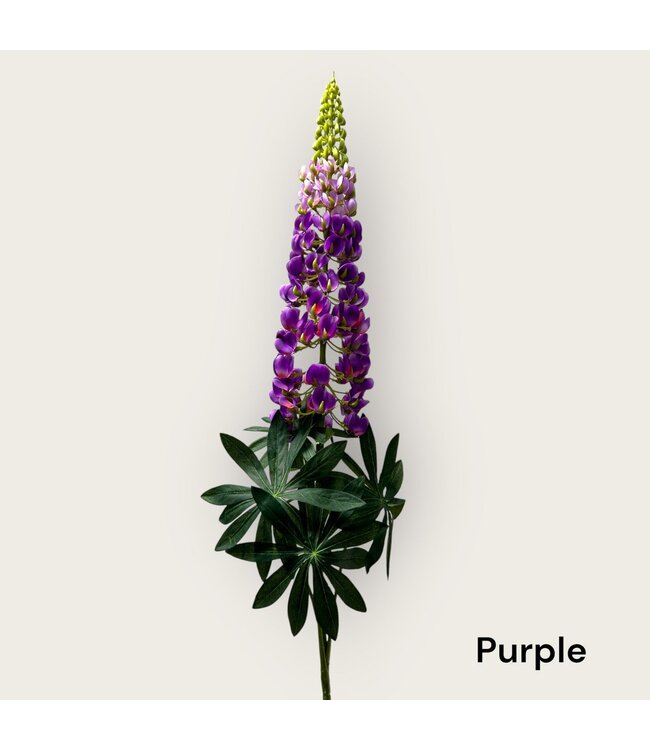 QMF Trading Lupinus micranthus Zijden kunstbloem | Lengte 105cm