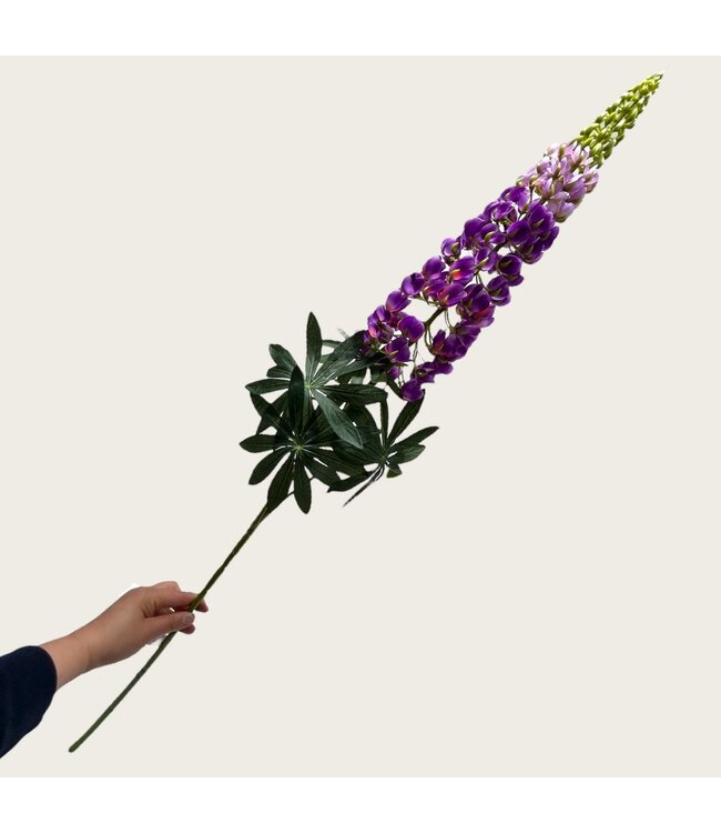 QMF Trading Lupinus micranthus Zijden kunstbloem | Lengte 105cm