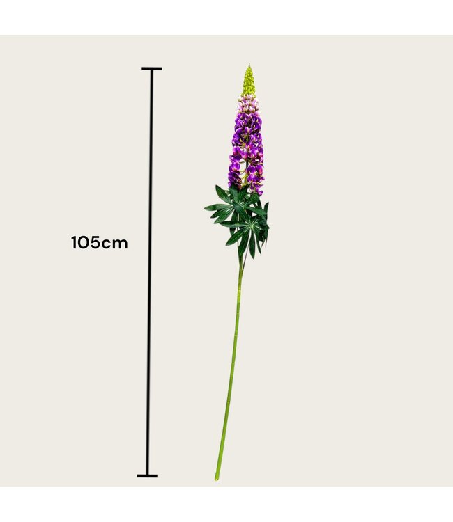 QMF Trading Lupinus micranthus Zijden kunstbloem | Lengte 105cm