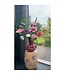 QMF Trading Zijden Bloemen met Strawberry Juice Vase H：23cm