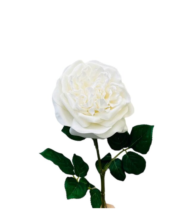 QMF Trading QMF Hand Touch Rose 65cm WIT 2PCS