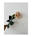 QMF Trading QMF Hand Touch Rose72cm Champagne 2PCS