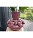 QMF Trading Zijden Bloemen met Strawberry Juice Vase H：23cm