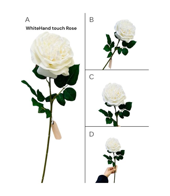 QMF Trading QMF Hand Touch Rose 65cm WIT 2PCS