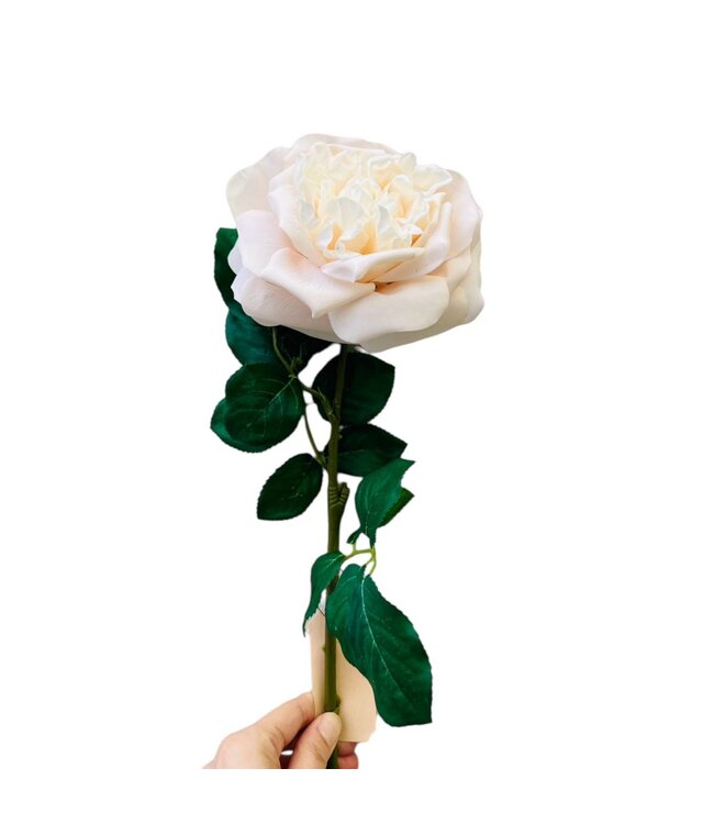 QMF Trading QMF Hand Touch Rose 65cm WIT 2PCS