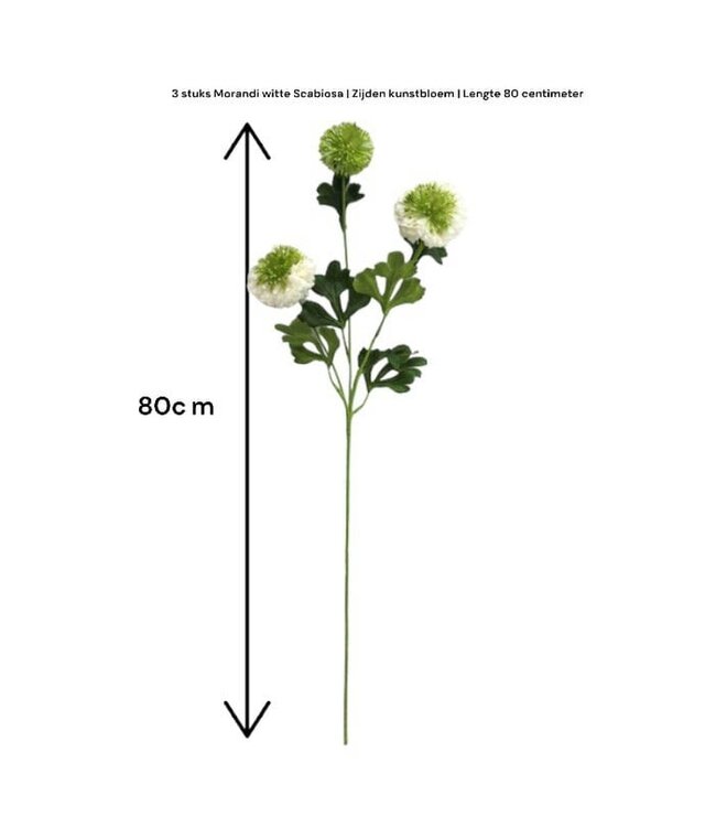QMF Trading Scabiosa | Zijden kunstbloem | Lengte 80cm  2pcs wit