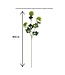 QMF Trading Scabiosa | Zijden kunstbloem | Lengte 80cm  2pcs wit