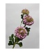 QMF Trading Scabiosa | Zijden kunstbloem | Lengte 80cm  2pcs wit