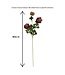QMF Trading Scabiosa | Zijden kunstbloem | Lengte 80cm  2pcs wit