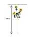 QMF Trading Scabiosa | Zijden kunstbloem | Lengte 80cm  2pcs wit