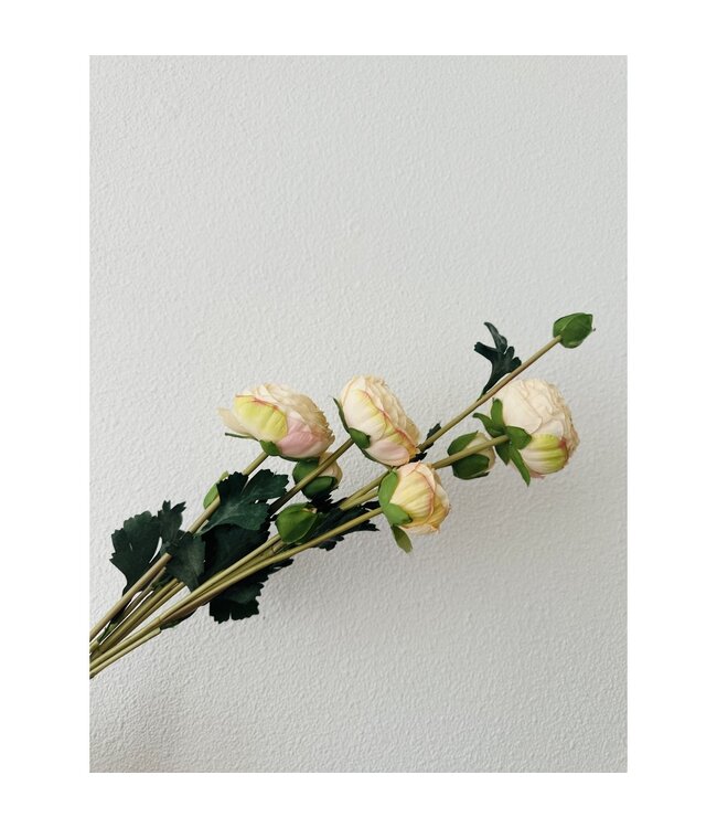 QMF Trading 9-stengelige Mica Decorations Ranonkels Kunstbloemen Boeket / Lengte 55cm /Champagne