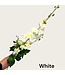 QMF Trading Grote 3-takkige delphinium | Zijden kunstbloem | Lengte 70cm  1pcs
