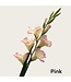 QMF Trading Geurende gladiolen | Zijden kunstbloem | Lengte 91cm  1pcs