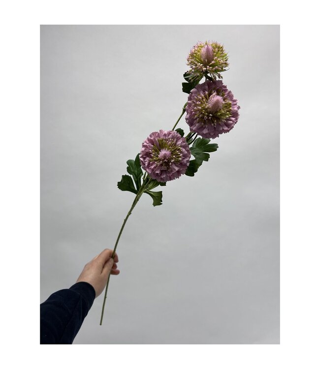 QMF Trading Scabiosa | Zijden kunstbloem | Lengte 80cm2pus paars