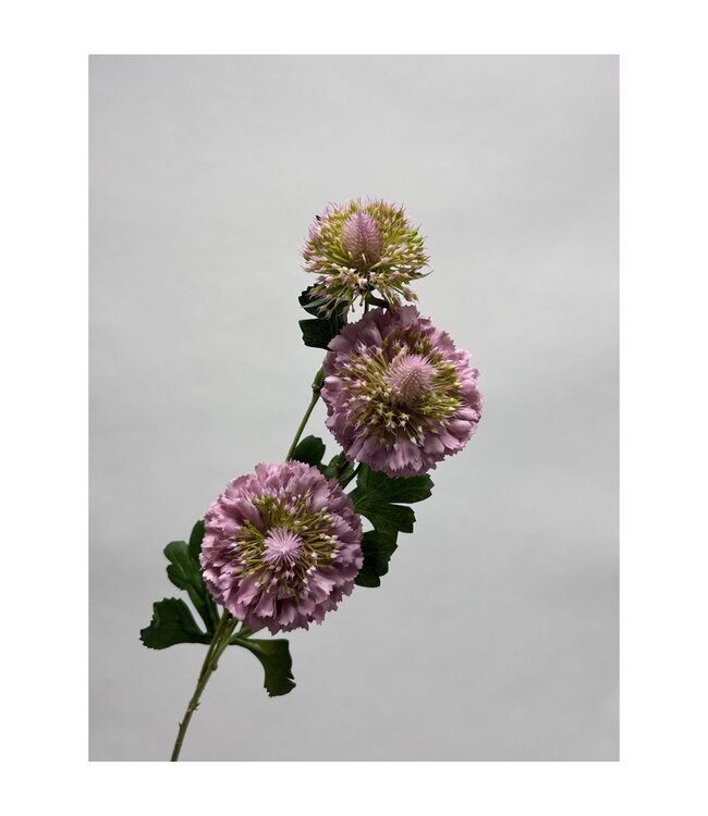 QMF Trading Scabiosa | Zijden kunstbloem | Lengte 80cm2pus paars