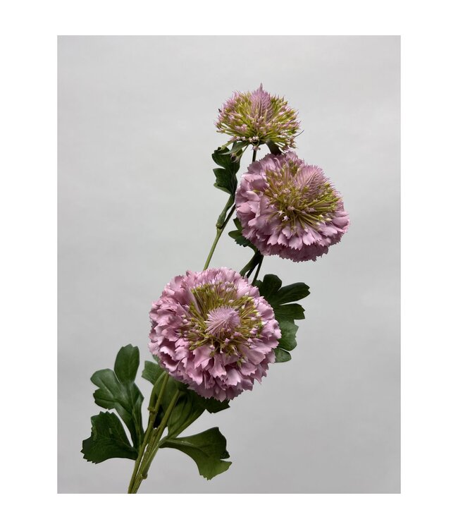 QMF Trading Scabiosa | Zijden kunstbloem | Lengte 80cm2pus paars