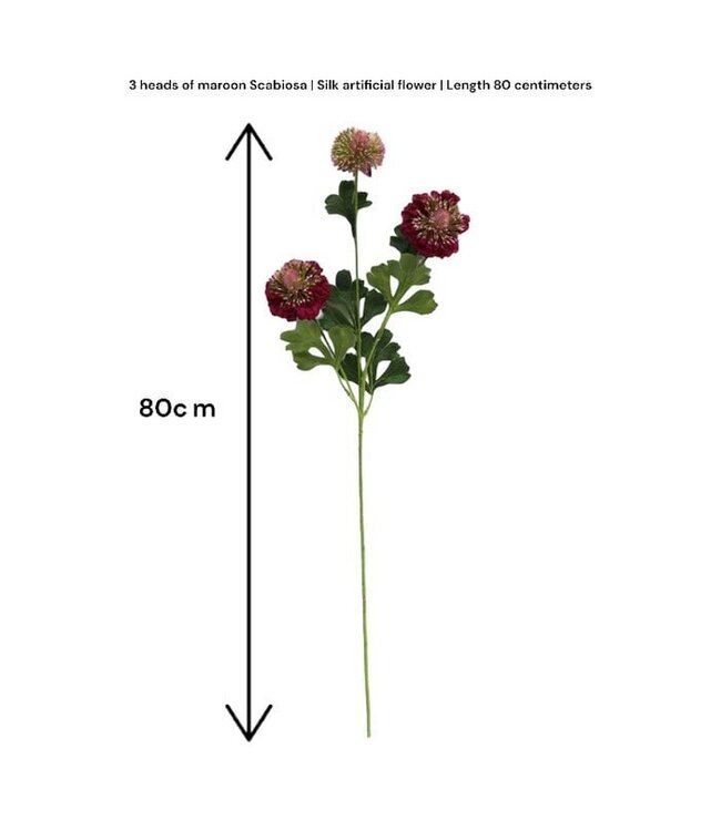 QMF Trading Scabiosa | Zijden kunstbloem | Lengte 80cm2pus paars