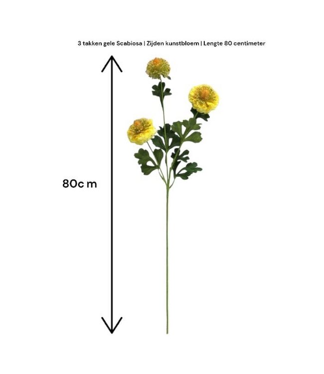 QMF Trading Scabiosa | Zijden kunstbloem | Lengte 80cm2pus paars