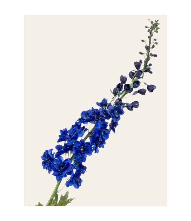 QMF Trading kunstbloem Delphinium blauw 130 cm Copy