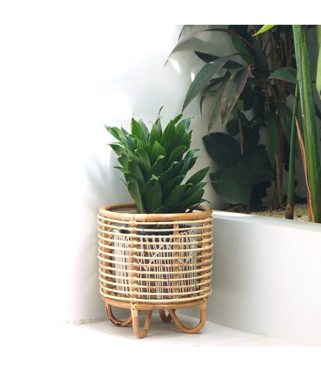 Soeji Rotan plantenstandaard plantenbak bloempothouder MALANG beige