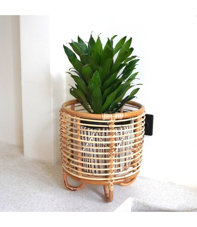 Soeji Rotan plantenstandaard plantenbak bloempothouder MALANG beige