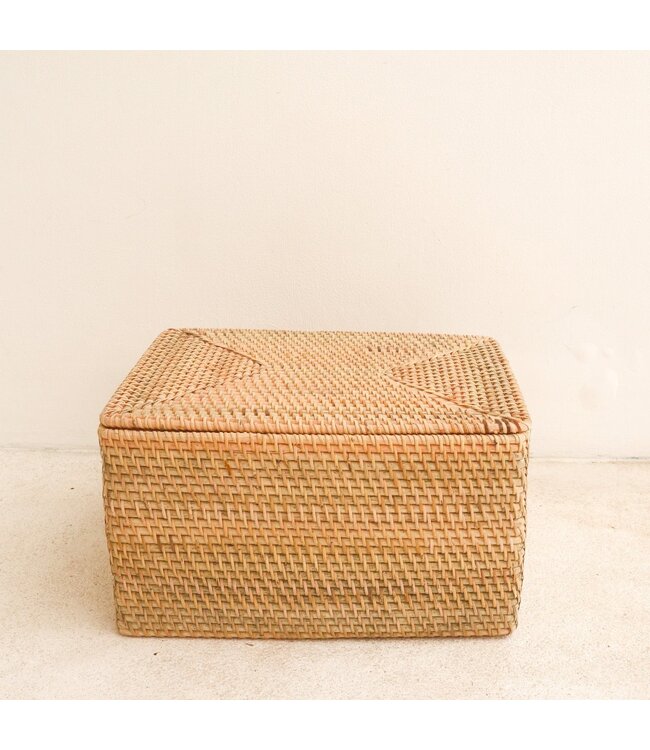 Soeji Opbergmand met deksel Plankmand gemaakt van beige rotan handgeweven decoratieve mand GRAHA (2 maten)
