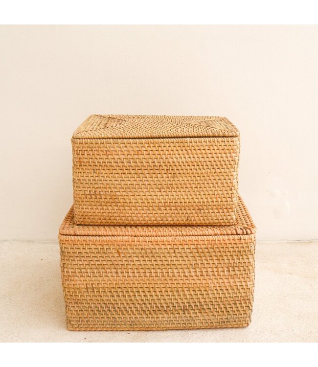Soeji Opbergmand met deksel Plankmand gemaakt van beige rotan handgeweven decoratieve mand GRAHA (2 maten)