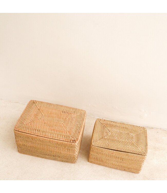 Soeji Opbergmand met deksel Plankmand gemaakt van beige rotan handgeweven decoratieve mand GRAHA (2 maten)