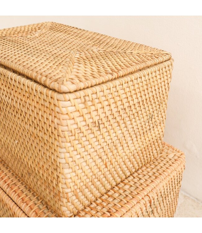 Soeji Opbergmand met deksel Plankmand gemaakt van beige rotan handgeweven decoratieve mand GRAHA (2 maten)