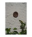 BAZAR BIZAR The Jasmine Bord - Bruin - S